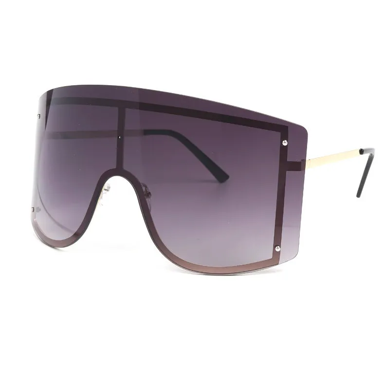 Fashion Frame Sunglasses