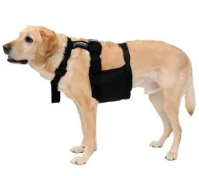 Glacier Tek ChillyDog Cool Vest